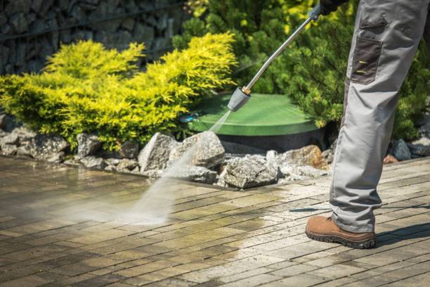 Best Fence Cleaning  in Norwalk, OH